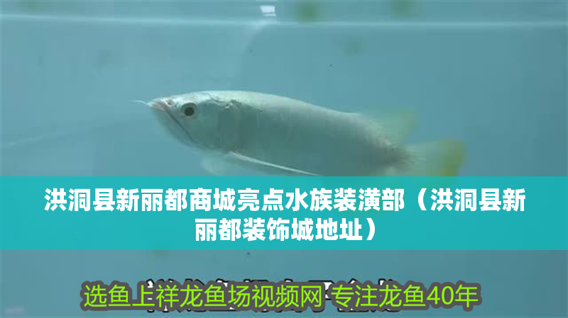 洪洞縣新麗都商城亮點水族裝潢部（洪洞縣新麗都裝飾城地址）