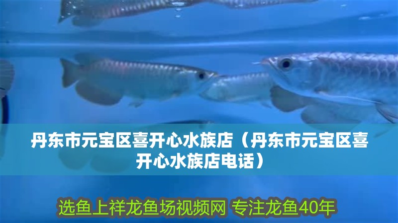 丹東市元寶區(qū)喜開心水族店（丹東市元寶區(qū)喜開心水族店電話）
