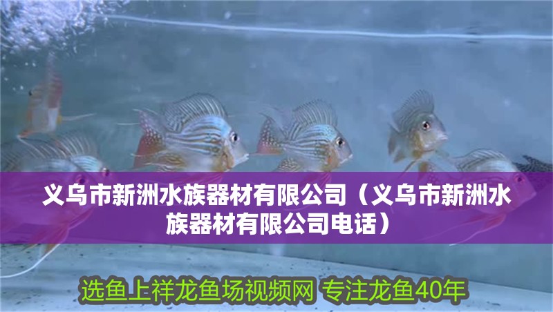 義烏市新洲水族器材有限公司(義烏市新洲水族器材有限公司電話) 全國水族館企業(yè)名錄 第2張 義烏市新洲水族器材有限公司(義烏市新洲水族器材有限公司電話) 義烏市新洲水族器材有限公司(義烏市新洲水族器材有限公司電話) 全國水族館企業(yè)名錄 第2張