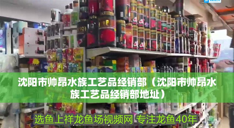 沈陽(yáng)市帥昂水族工藝品經(jīng)銷部（沈陽(yáng)市帥昂水族工藝品經(jīng)銷部地址）