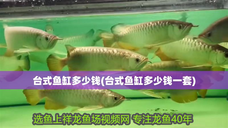 臺式魚缸多少錢(臺式魚缸多少錢一套)