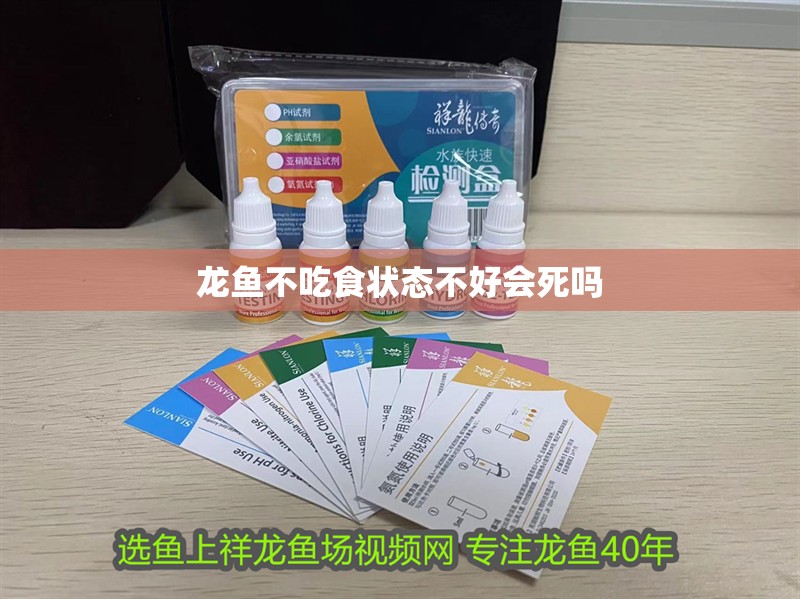 龍魚不吃食狀態(tài)不好會死嗎