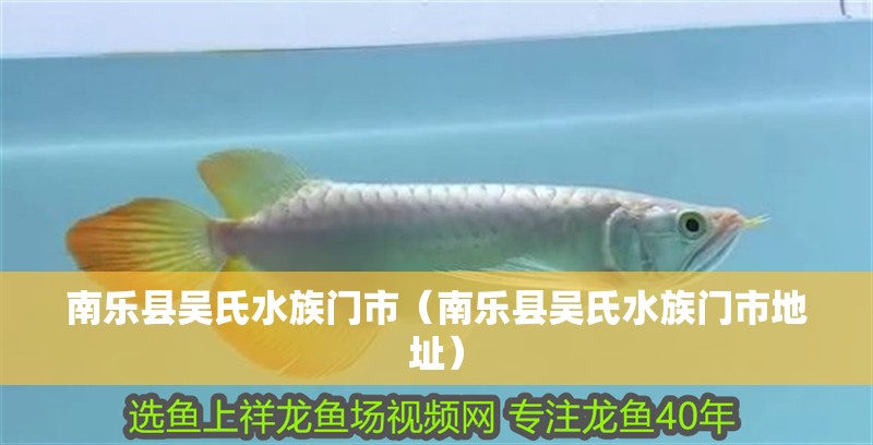 南樂縣吳氏水族門市（南樂縣吳氏水族門市地址） 南樂縣吳氏水族門市（南樂縣吳氏水族門市地址） 全國水族館企業名錄 第2張