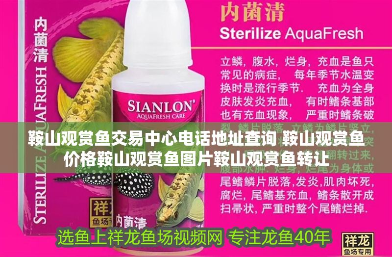 鞍山觀賞魚交易中心電話地址查詢 鞍山觀賞魚價格鞍山觀賞魚圖片鞍山觀賞魚轉讓