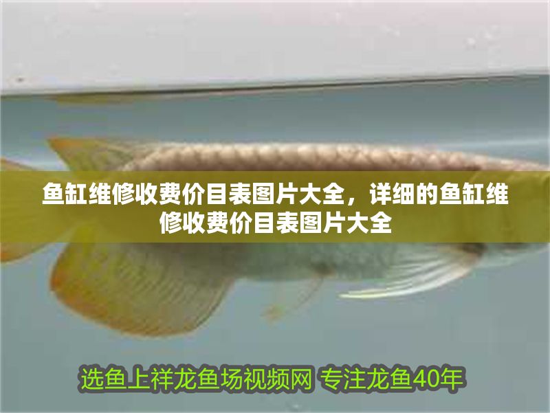 魚缸維修收費價目表圖片大全,詳細的魚缸維修收費價目表圖片大全 魚缸百科 第2張 魚缸維修收費價目表圖片大全,詳細的魚缸維修收費價目表圖片大全 魚缸維修收費價目表圖片大全,詳細的魚缸維修收費價目表圖片大全 魚缸百科 第2張
