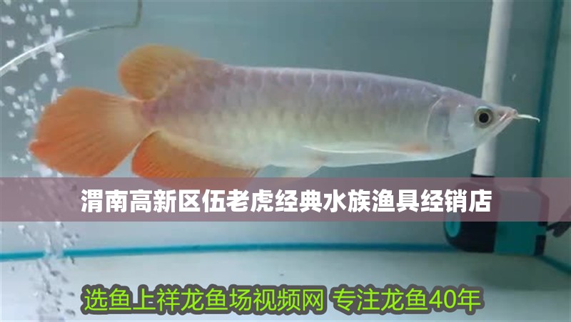 渭南高新區伍老虎經典水族漁具經銷店
