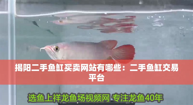 揭陽二手魚缸買賣網(wǎng)站有哪些：二手魚缸交易平臺