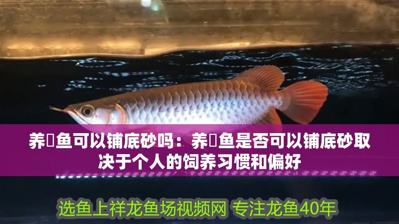 養魟魚可以鋪底砂嗎：養魟魚是否可以鋪底砂取決于個人的飼養習慣和偏好