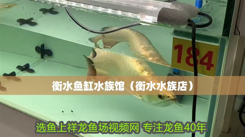 衡水魚缸水族館(衡水水族店) 錦鯉魚百科 第1張 衡水魚缸水族館(衡水水族店) 衡水魚缸水族館(衡水水族店) 錦鯉魚百科 第1張