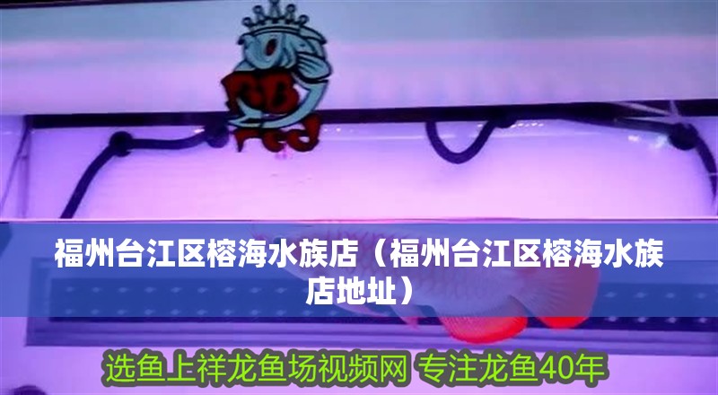 福州臺江區榕海水族店（福州臺江區榕海水族店地址）
