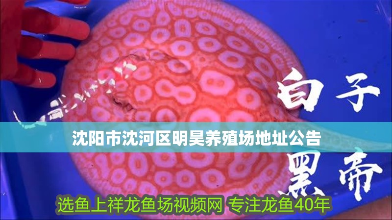 沈陽市沈河區明昊養殖場地址公告