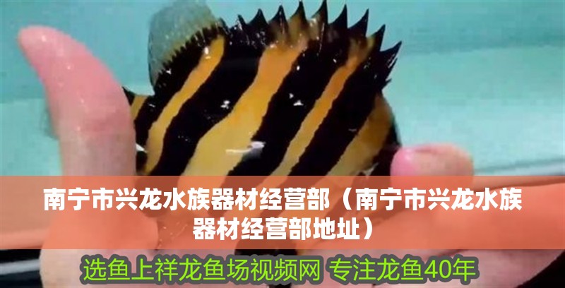 南寧市興龍水族器材經營部（南寧市興龍水族器材經營部地址） 南寧市興龍水族器材經營部（南寧市興龍水族器材經營部地址） 全國水族館企業名錄 第2張