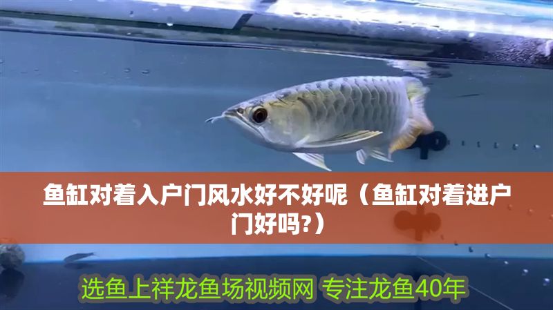 魚缸對著入戶門風水好不好呢（魚缸對著進戶門好嗎?）
