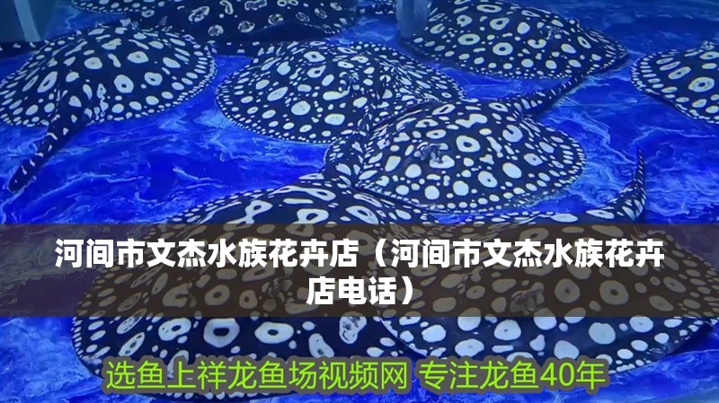 河間市文杰水族花卉店（河間市文杰水族花卉店電話） 河間市文杰水族花卉店（河間市文杰水族花卉店電話） 全國水族館企業(yè)名錄 第2張