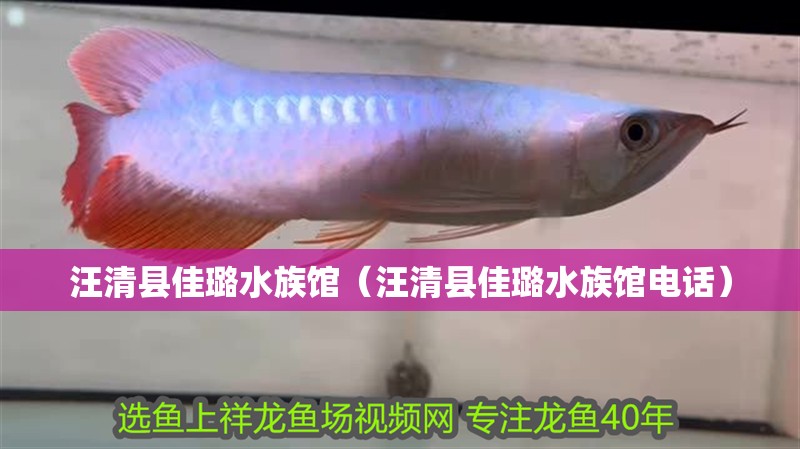 汪清縣佳璐水族館(汪清縣佳璐水族館電話) 全國水族館企業(yè)名錄 第2張 汪清縣佳璐水族館(汪清縣佳璐水族館電話) 汪清縣佳璐水族館(汪清縣佳璐水族館電話) 全國水族館企業(yè)名錄 第2張