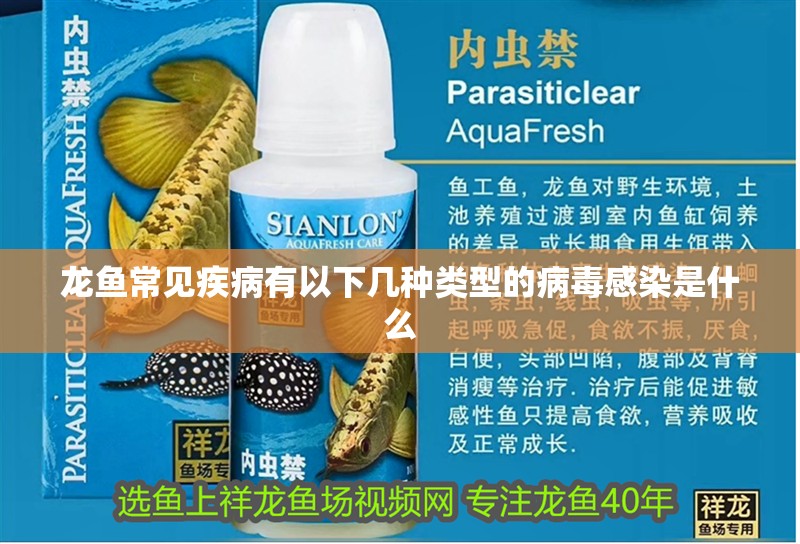 龍魚常見疾病有以下幾種類型的病毒感染是什么