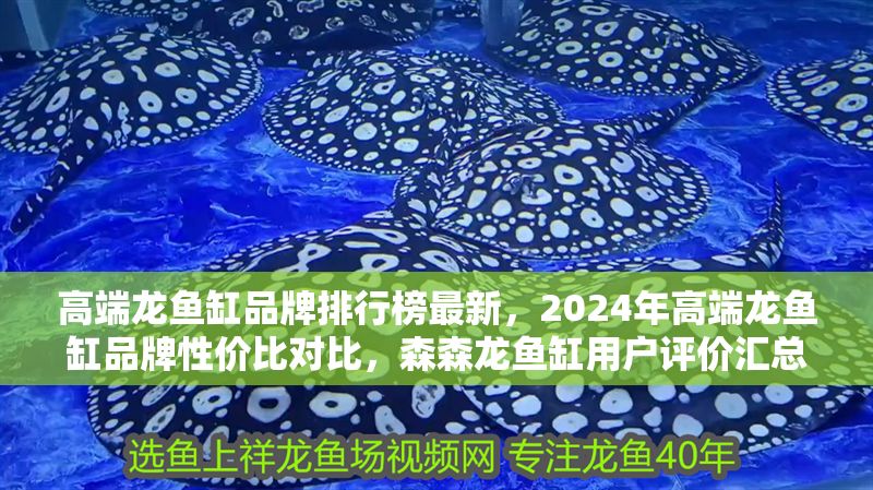 高端龍魚缸品牌排行榜最新，2024年高端龍魚缸品牌性價比對比，森森龍魚缸用戶評價匯總