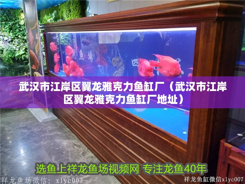武漢市江岸區翼龍雅克力魚缸廠（武漢市江岸區翼龍雅克力魚缸廠地址）