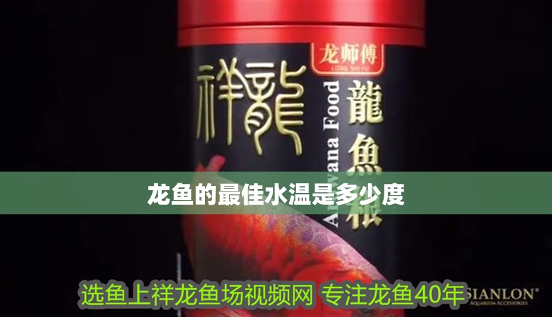 龍魚的最佳水溫是多少度