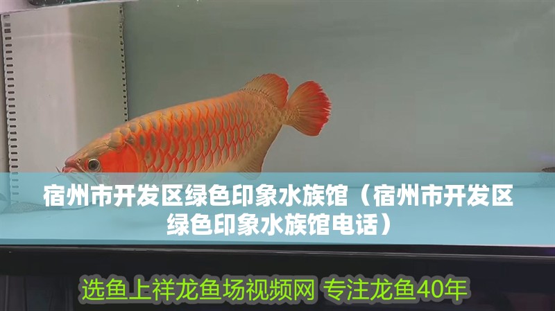 宿州市開(kāi)發(fā)區(qū)綠色印象水族館（宿州市開(kāi)發(fā)區(qū)綠色印象水族館電話）