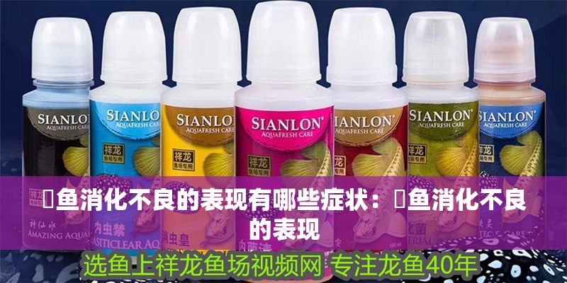 魟魚(yú)消化不良的表現(xiàn)有哪些癥狀：魟魚(yú)消化不良的表現(xiàn)