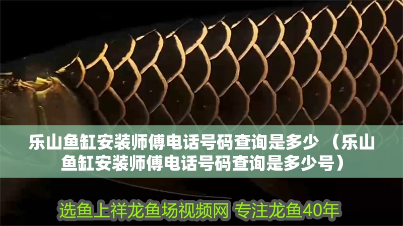 樂山魚缸安裝師傅電話號碼查詢是多少 （樂山魚缸安裝師傅電話號碼查詢是多少號）