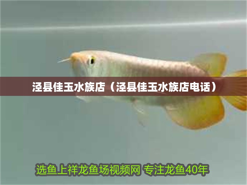 涇縣佳玉水族店（涇縣佳玉水族店電話）