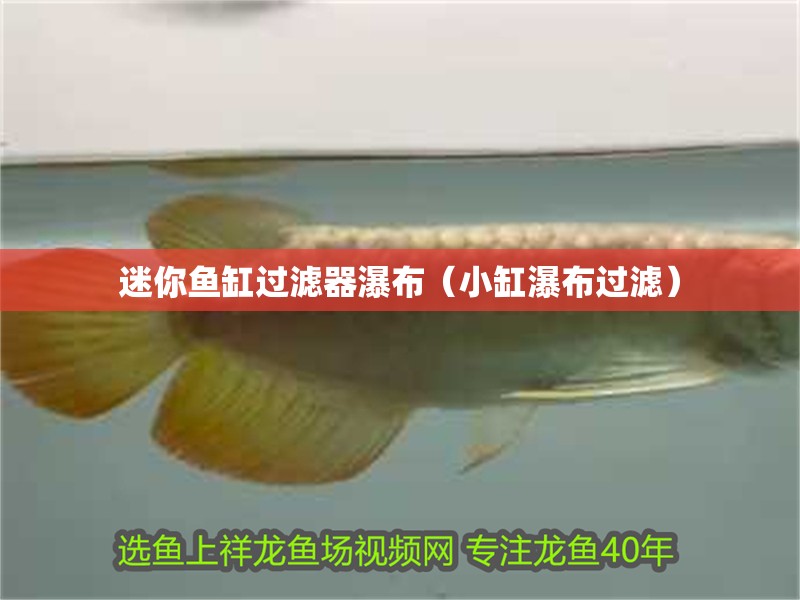 迷你魚缸過(guò)濾器瀑布（小缸瀑布過(guò)濾） 迷你魚缸過(guò)濾器瀑布（小缸瀑布過(guò)濾） 豬鼻龜百科