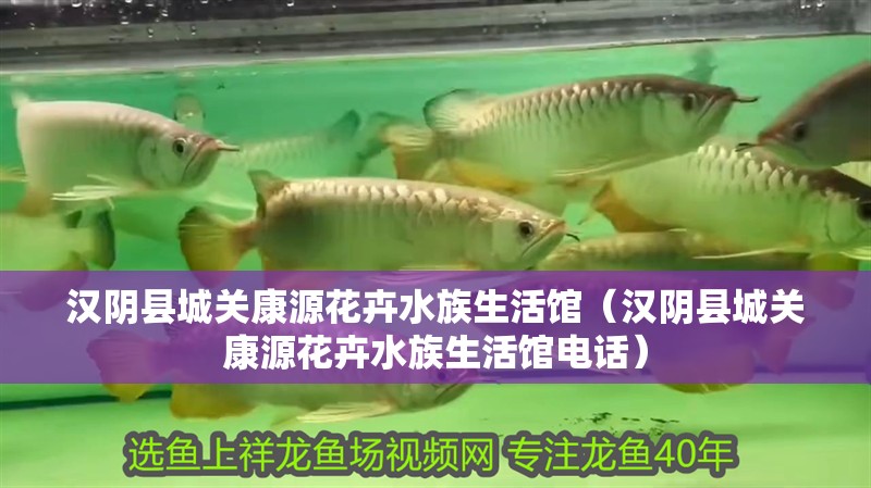漢陰縣城關(guān)康源花卉水族生活館(漢陰縣城關(guān)康源花卉水族生活館電話) 全國(guó)水族館企業(yè)名錄 第2張 漢陰縣城關(guān)康源花卉水族生活館(漢陰縣城關(guān)康源花卉水族生活館電話) 漢陰縣城關(guān)康源花卉水族生活館(漢陰縣城關(guān)康源花卉水族生活館電話) 全國(guó)水族館企業(yè)名錄 第2張