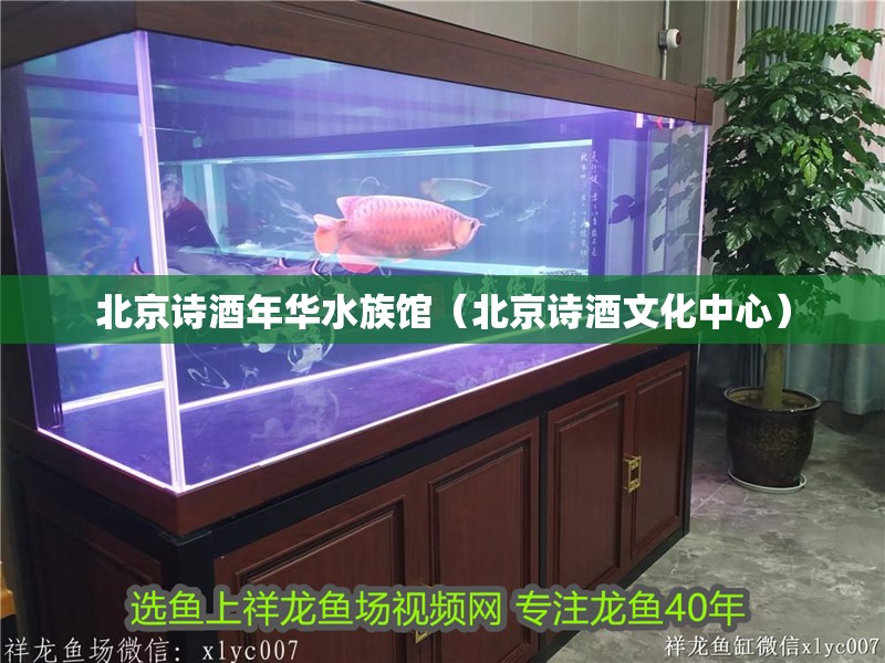 北京詩(shī)酒年華水族館（北京詩(shī)酒文化中心）