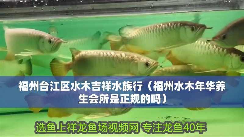 福州臺江區水木吉祥水族行（福州水木年華養生會所是正規的嗎）