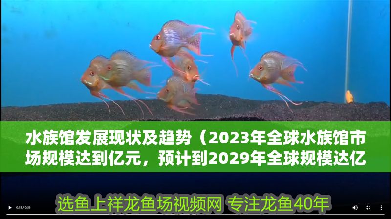 水族館發展現狀及趨勢（2023年全球水族館市場規模達到億元，預計到2029年全球規模達億元）