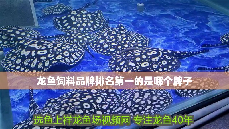 龍魚飼料品牌排名第一的是哪個牌子