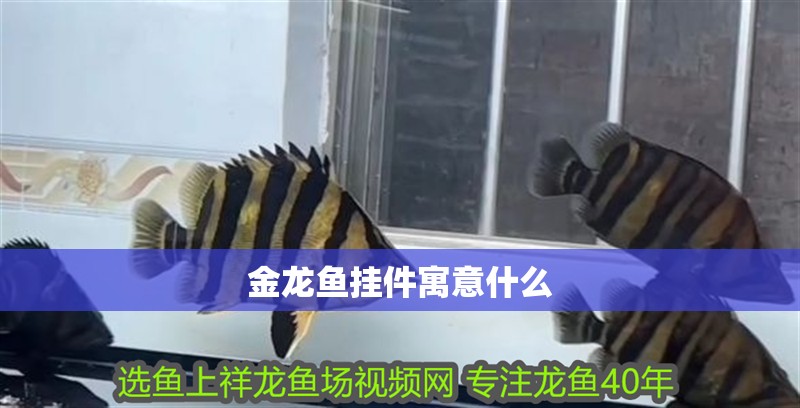 金龍魚(yú)掛件寓意什么