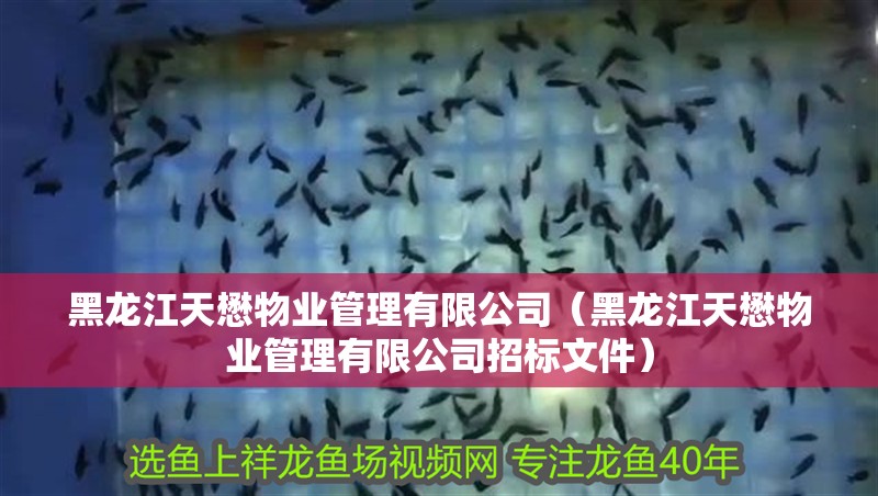 黑龍江天懋物業管理有限公司（黑龍江天懋物業管理有限公司招標文件） 黑龍江天懋物業管理有限公司（黑龍江天懋物業管理有限公司招標文件） 全國水族館企業名錄 第2張