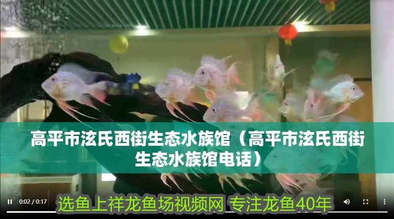 高平市泫氏西街生態水族館（高平市泫氏西街生態水族館電話）