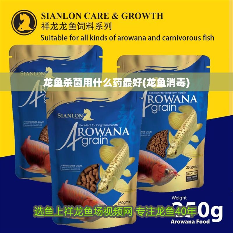 龍魚殺菌用什么藥最好(龍魚消毒) 龍魚殺菌用什么藥最好(龍魚消毒) 錦鯉魚百科 第1張