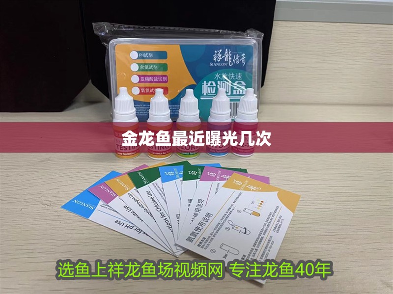 金龍魚最近曝光幾次 金龍魚最近曝光幾次 龍魚百科 第2張