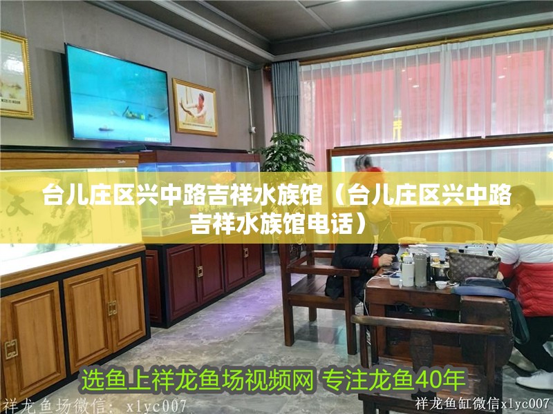 臺兒莊區興中路吉祥水族館(臺兒莊區興中路吉祥水族館電話) 全國水族館企業名錄 第2張 臺兒莊區興中路吉祥水族館(臺兒莊區興中路吉祥水族館電話) 臺兒莊區興中路吉祥水族館(臺兒莊區興中路吉祥水族館電話) 全國水族館企業名錄 第2張