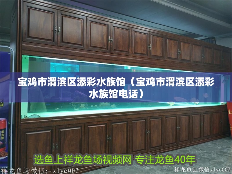 寶雞市渭濱區(qū)添彩水族館（寶雞市渭濱區(qū)添彩水族館電話） 寶雞市渭濱區(qū)添彩水族館（寶雞市渭濱區(qū)添彩水族館電話） 全國(guó)水族館企業(yè)名錄 第2張