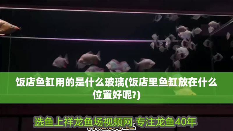 飯店魚缸用的是什么玻璃(飯店里魚缸放在什么位置好呢?)