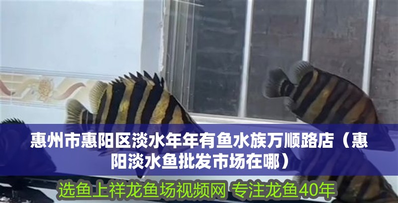 惠州市惠陽區淡水年年有魚水族萬順路店（惠陽淡水魚批發市場在哪） 惠州市惠陽區淡水年年有魚水族萬順路店（惠陽淡水魚批發市場在哪） 全國水族館企業名錄 第2張