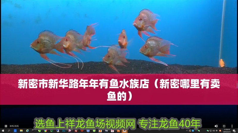 新密市新華路年年有魚水族店（新密哪里有賣魚的）