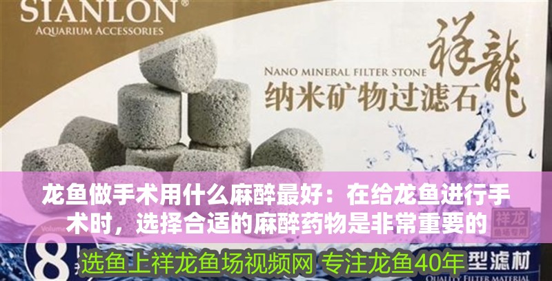 龍魚做手術(shù)用什么麻醉最好：在給龍魚進(jìn)行手術(shù)時(shí)，選擇合適的麻醉藥物是非常重要的