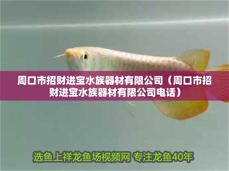 周口市招財進寶水族器材有限公司（周口市招財進寶水族器材有限公司電話）