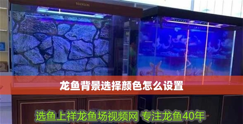 龍魚背景選擇顏色怎么設置 龍魚背景選擇顏色怎么設置 龍魚百科 第2張
