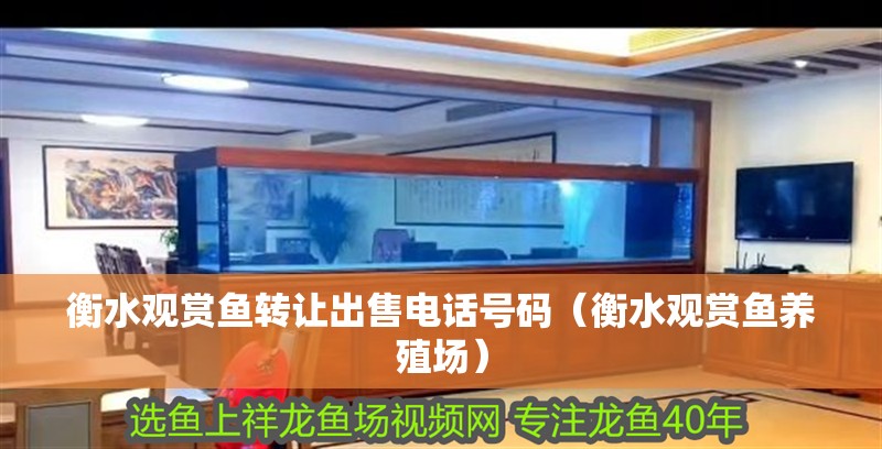 <strong><mark>衡水</mark></strong>觀賞魚轉(zhuǎn)讓出售電話號(hào)碼（<strong><mark>衡水</mark></strong>觀賞魚養(yǎng)殖場）