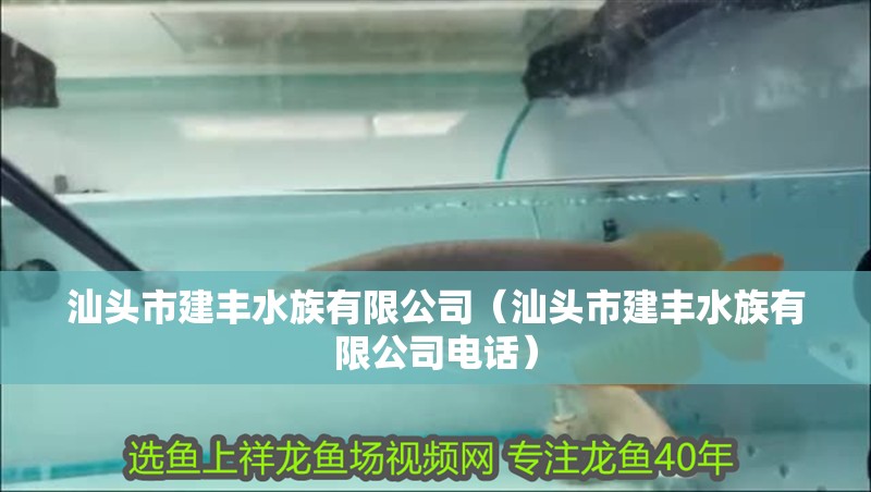 汕頭市建豐水族有限公司（汕頭市建豐水族有限公司電話）