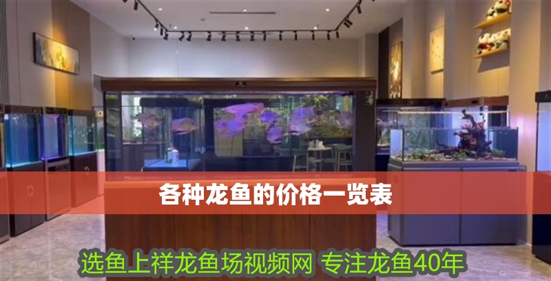 各種龍魚的價(jià)格一覽表