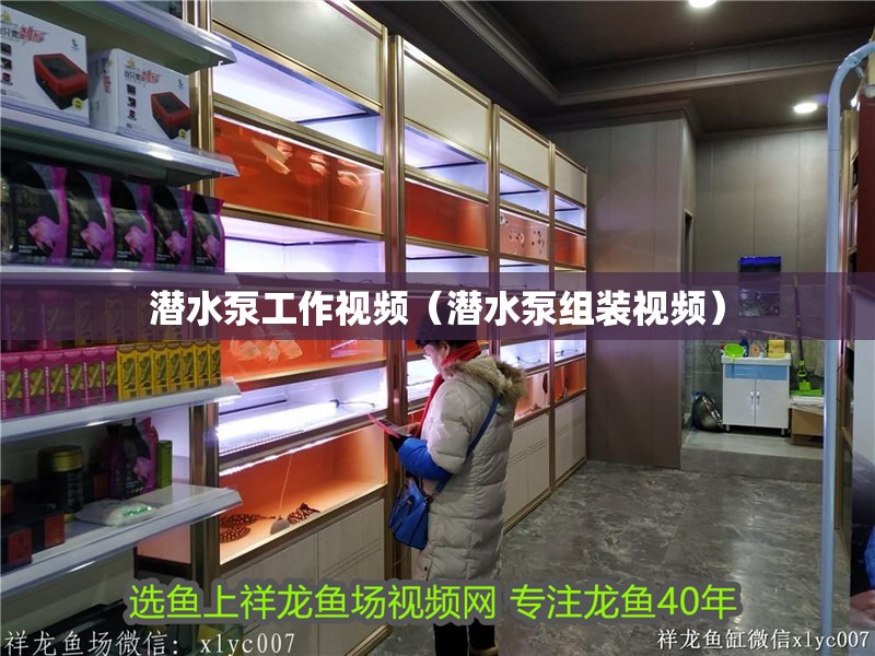 潛水泵工作視頻（潛水泵組裝視頻）